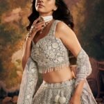 Grey Net Hand Embroidery Engagement Lehenga