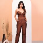 Earthen Brown Elegance Choli Pant Set