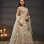 Sea Green Net Multi Zarkan embroidery Lehenga