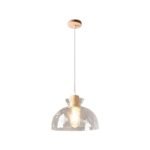 Dane Nordic Clear Glass Pendant Light