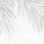 Morning Shadow Ibiza Wallpaper