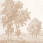 Vintage Oak Tree in Warm Brown Wallpaper Mural