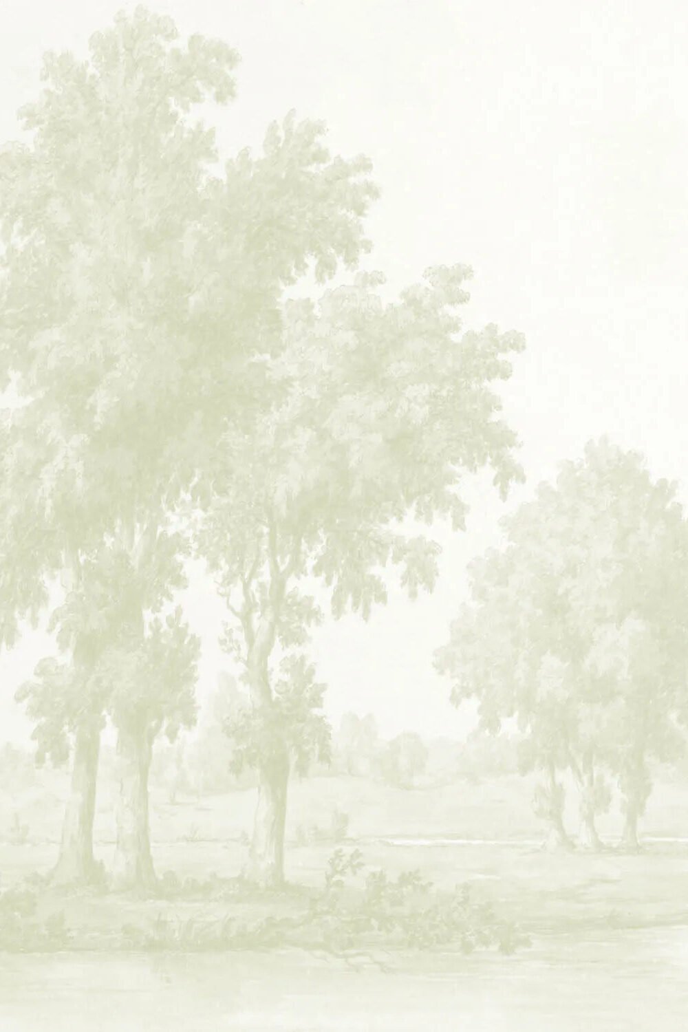 Vintage Oak Tree in Sage Green Wallpaper Mural