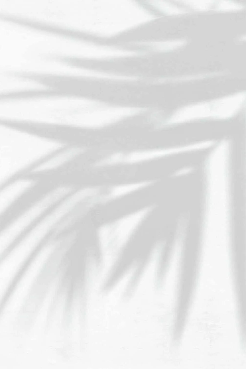Afternoons in Palm Beach Wallpaper