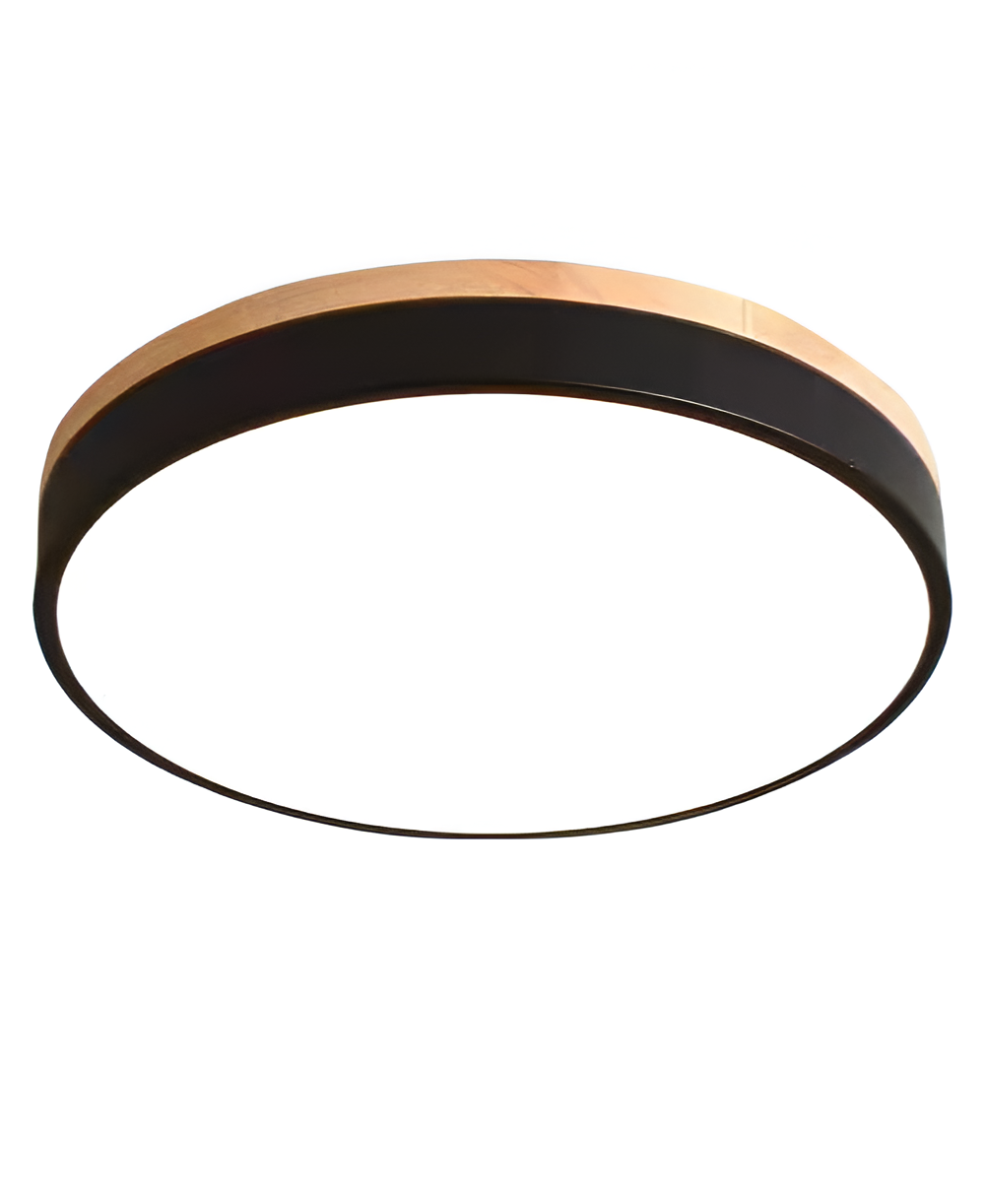 Nordic LED Round Flush Acrylic Minimalist Ceiling Light