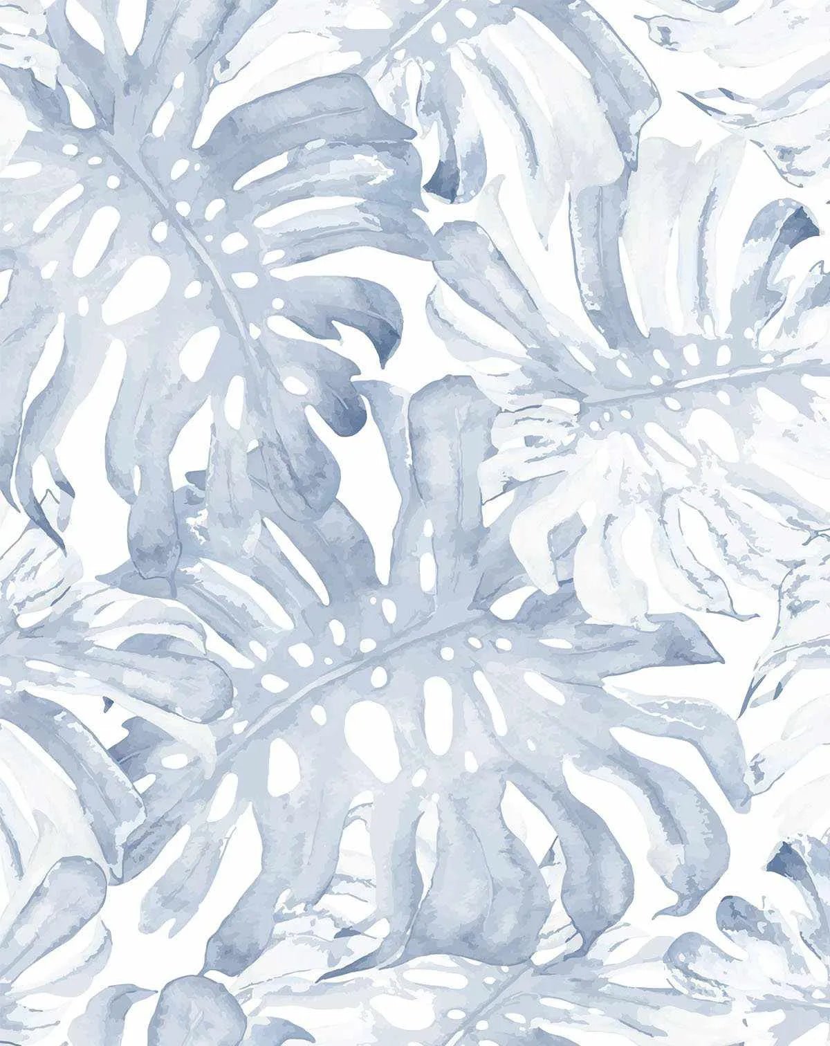 Blue Monstera Wallpaper