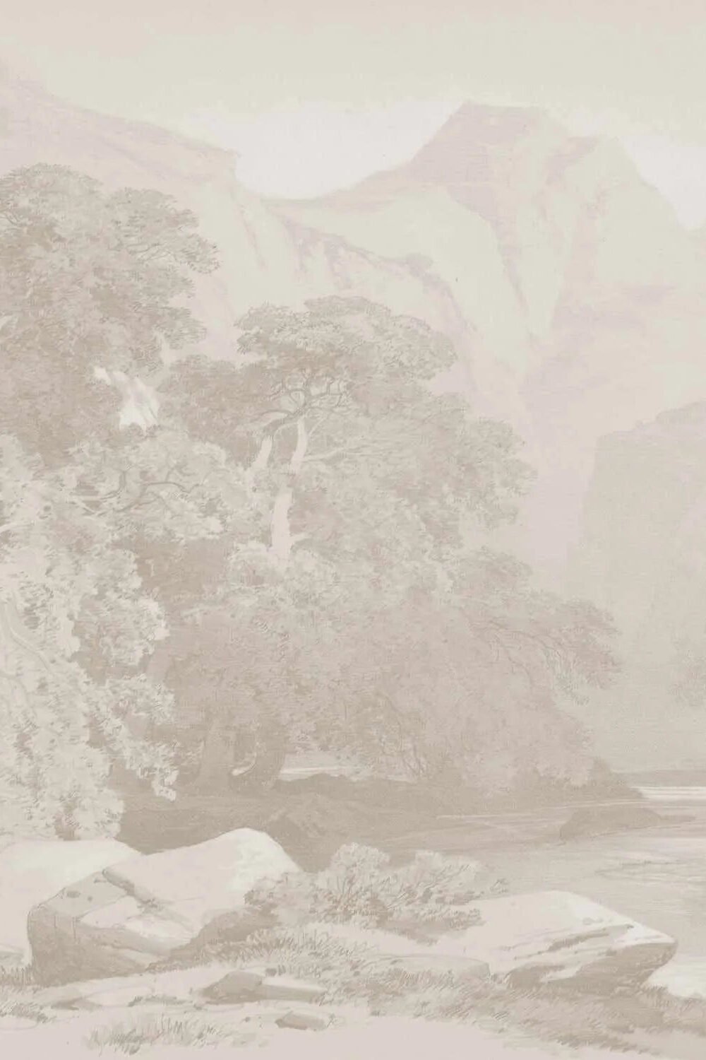 Bushland Mountain Stream Wallpaper Mural