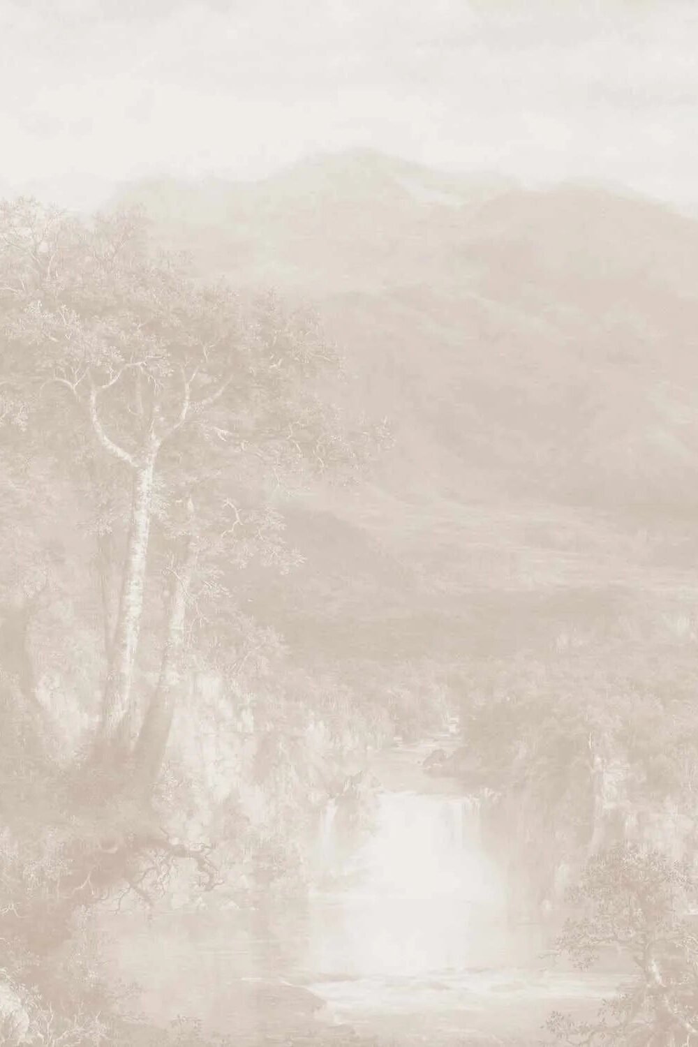 Daintree Paradise Wallpaper Mural
