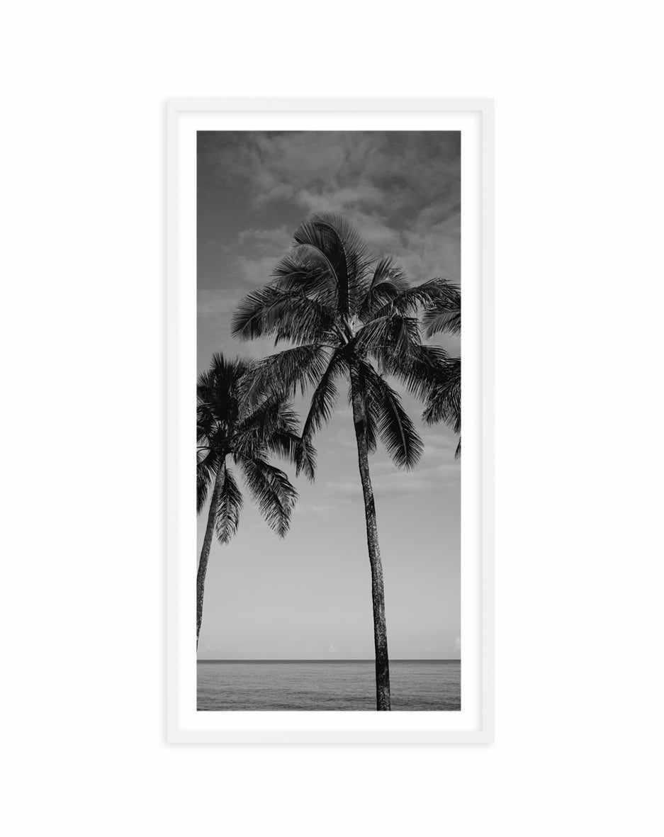 Palm Paradise B&W | Panoramic Art Print