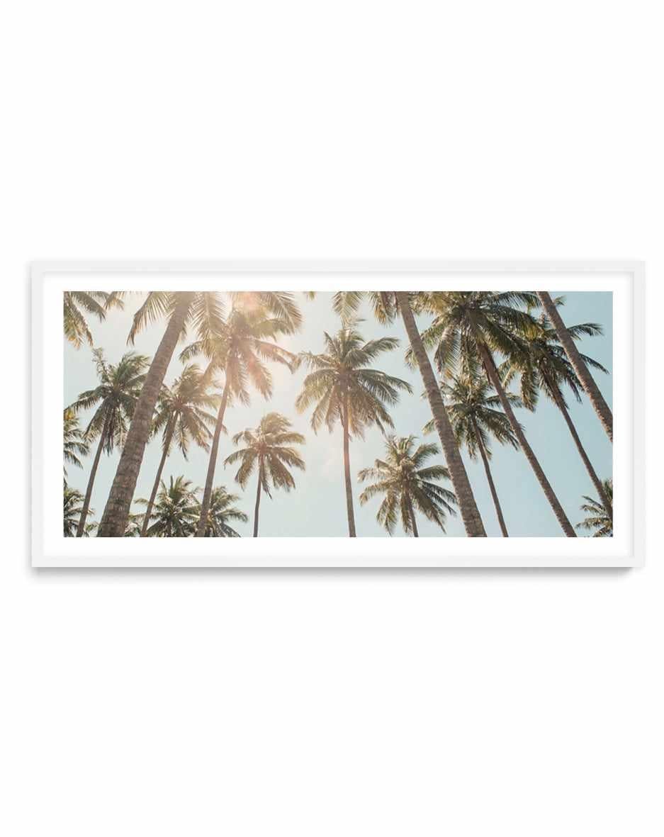 Palm Skies | Panoramic Art Print
