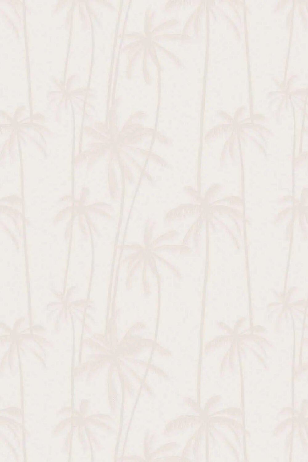 Sandy Palms Wallpaper