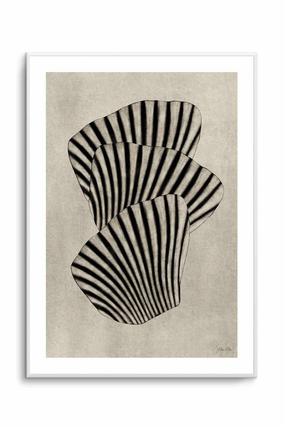 Sea Shells 01 By Rich Styles | Art Print