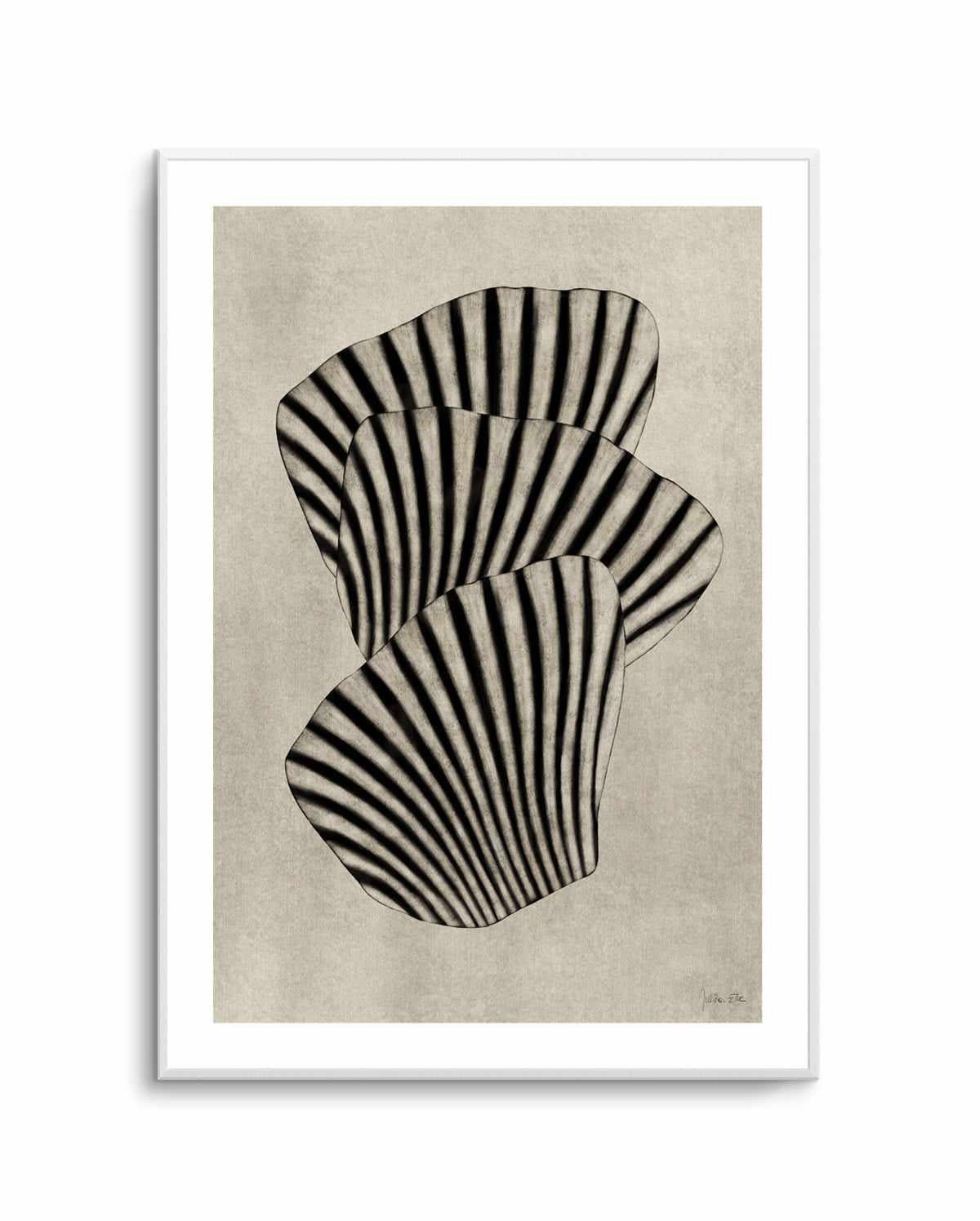 Sea Shells 01 By Rich Styles | Art Print