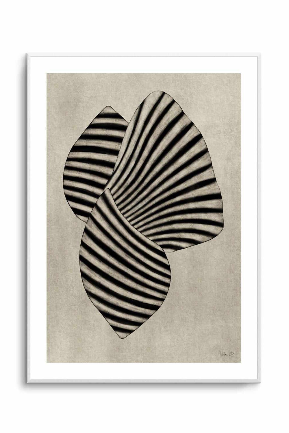 Sea Shells 03 By Rich Styles | Art Print