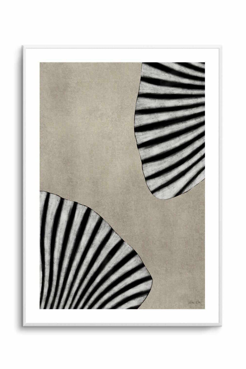 Sea Shells 07 By Rich Styles | Art Print