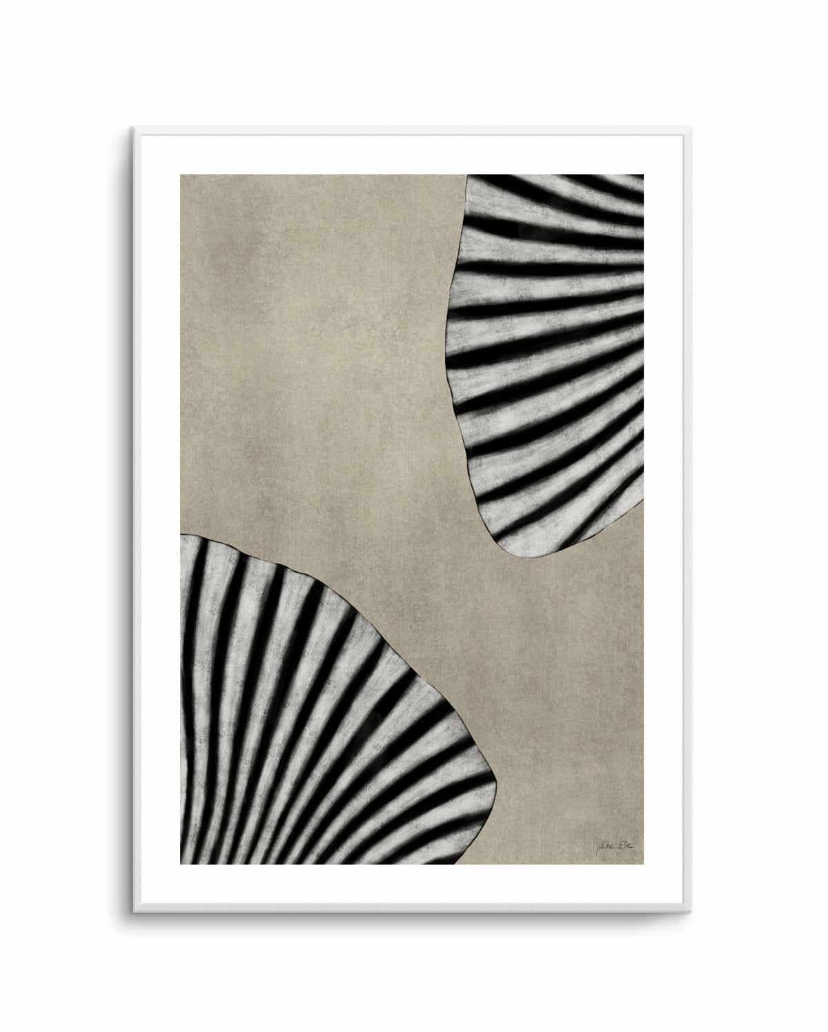 Sea Shells 07 By Rich Styles | Art Print