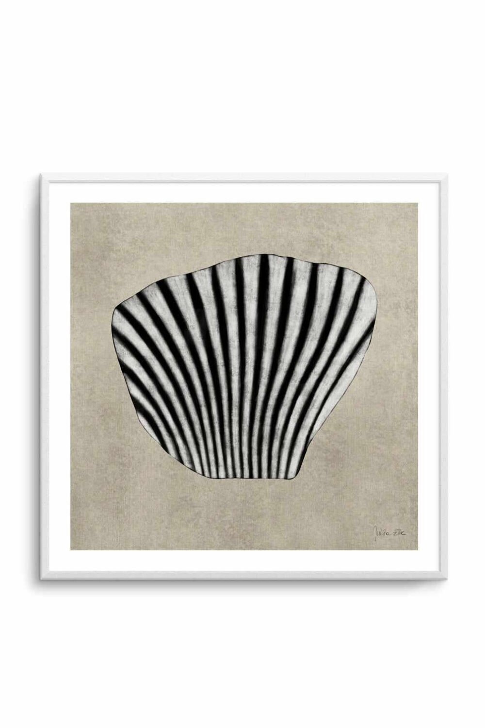 Sea Shells By Rich Styles | Art Print