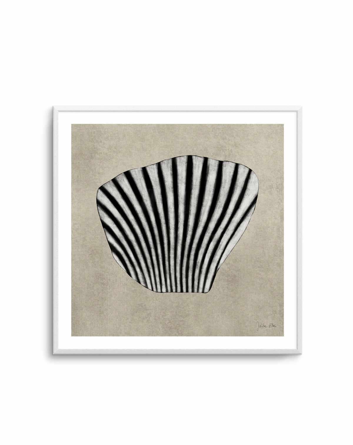 Sea Shells By Rich Styles | Art Print
