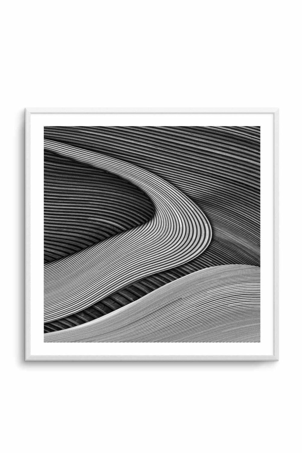The Wood Project III - Zen Garden | Art Print