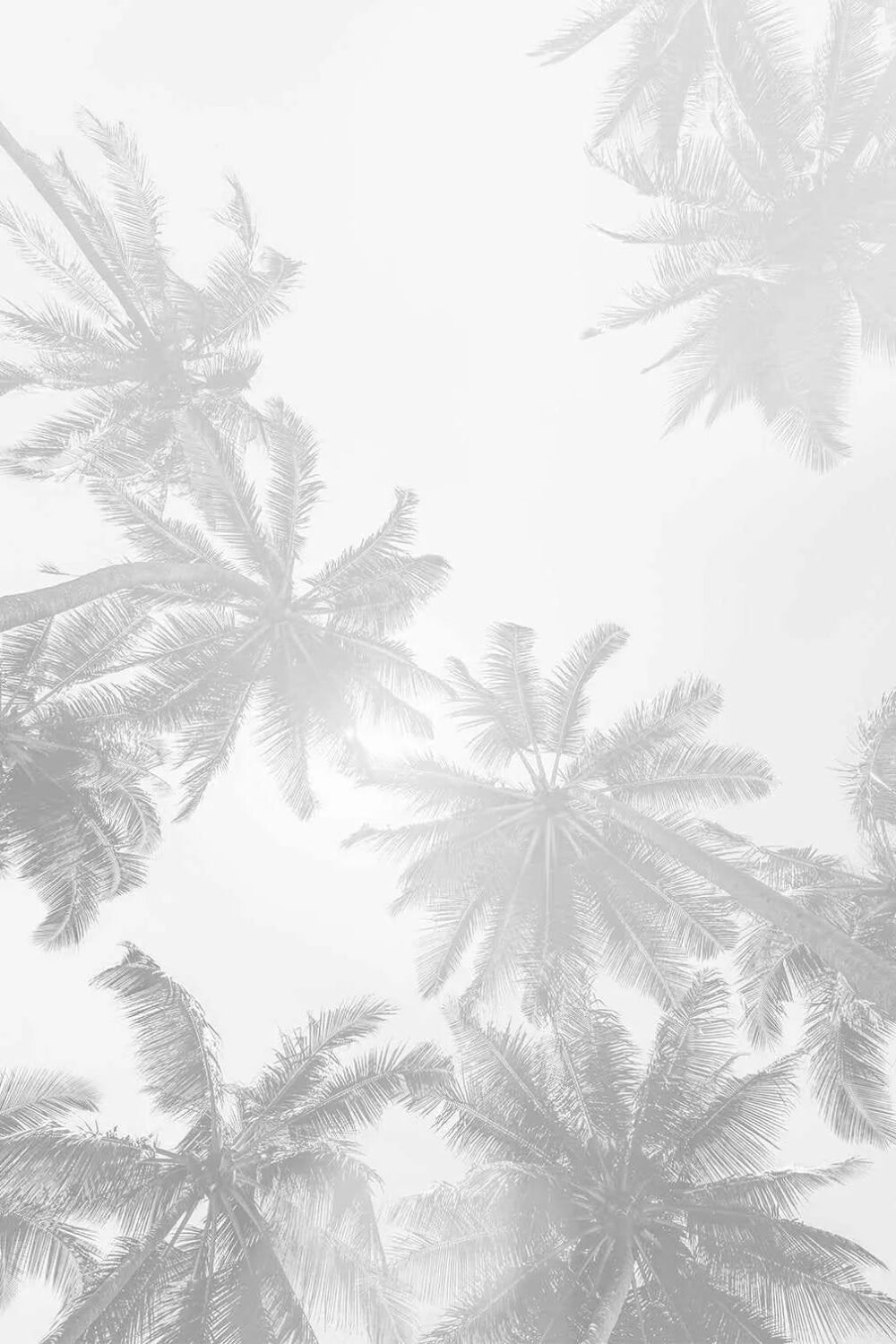 Under the Palms Monochrome Wallpaper Mural