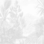 Vintage Tropics Wallpaper Mural
