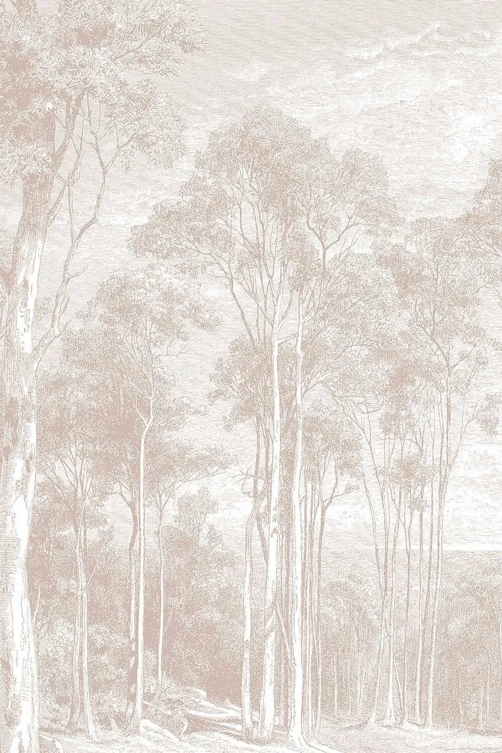 Eucalyptus Trees in Red Gum Wallpaper Mural