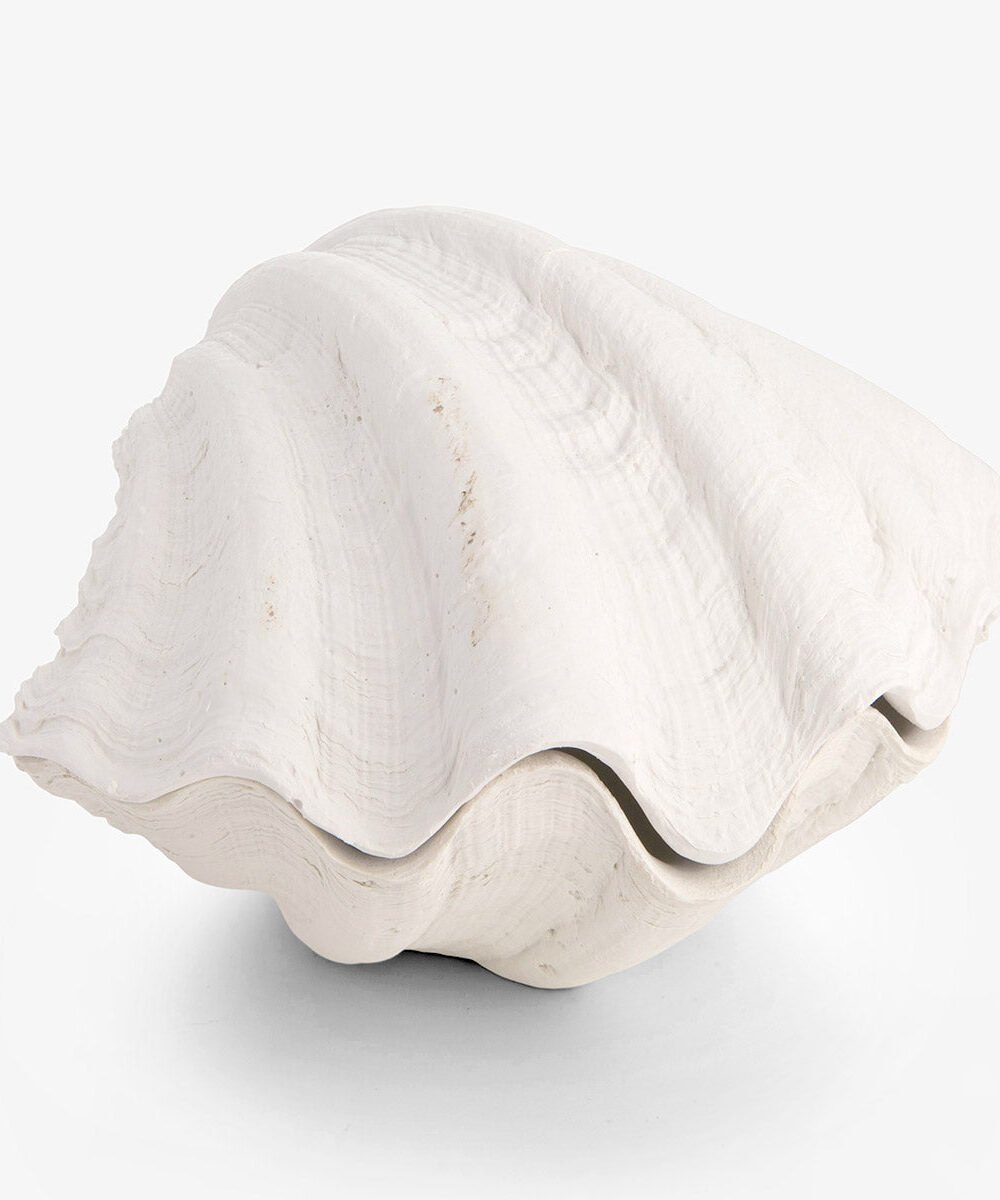 Clam Shell Trinket Boxes Resin (White)