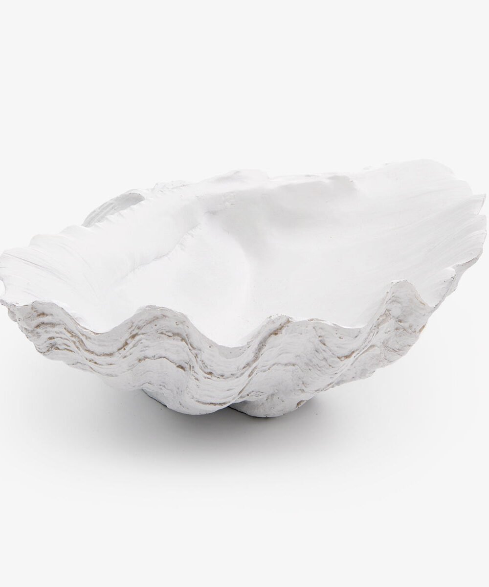Clam Shell (White 24cm)