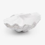 Clam Shell (White 24cm)