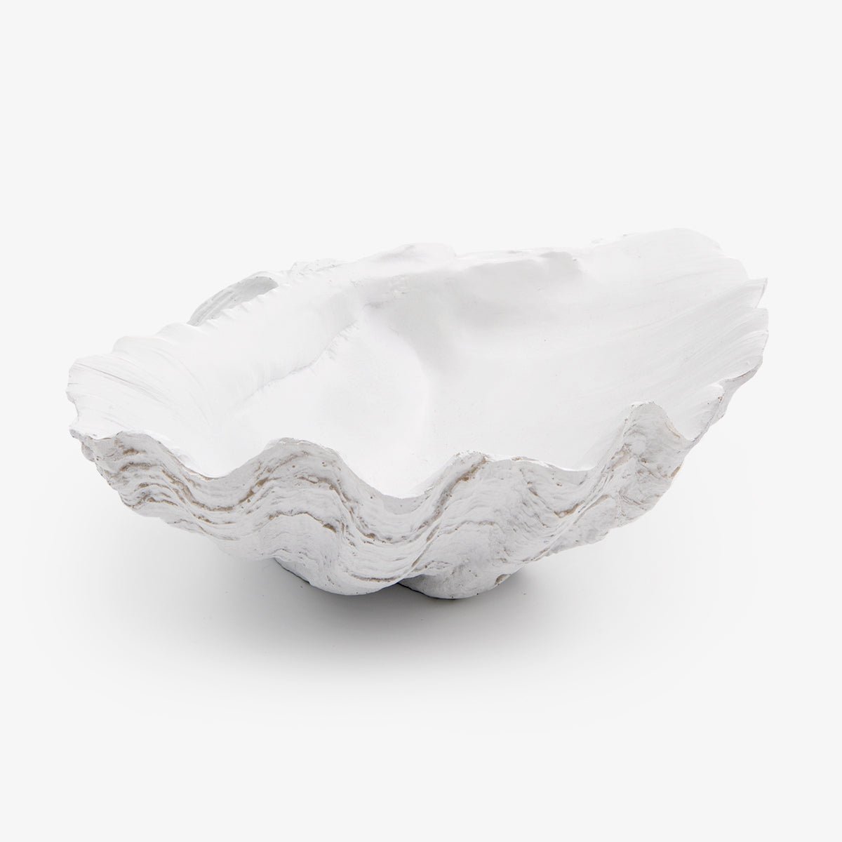 Clam Shell (White 24cm)