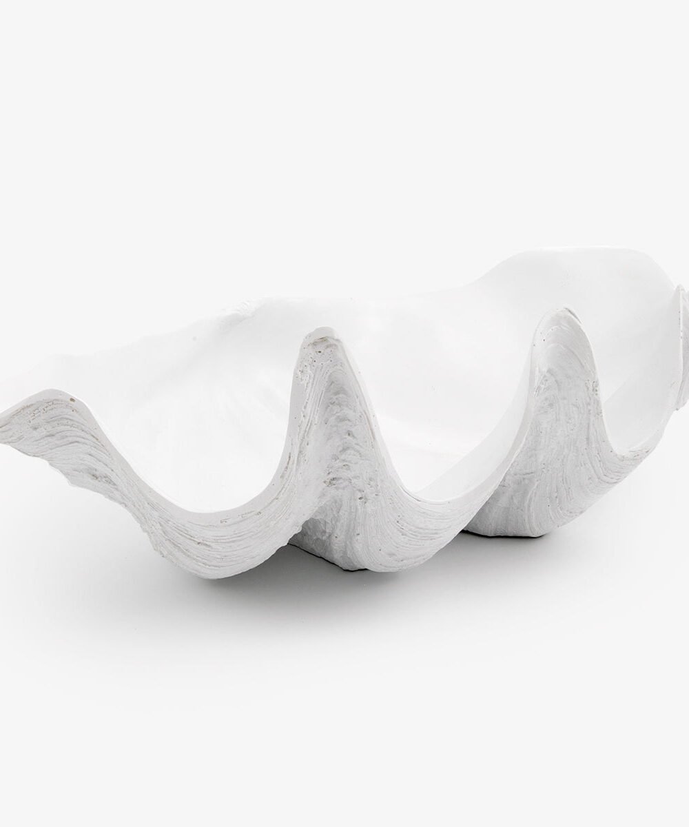 Clam Shell (White 51cm)