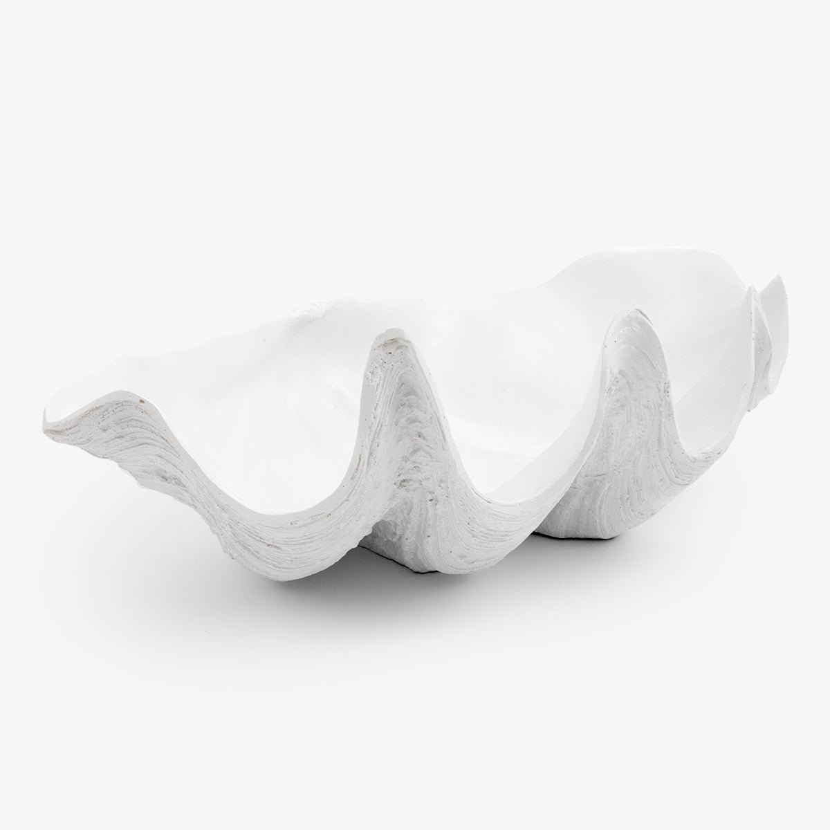 Clam Shell (White 51cm)