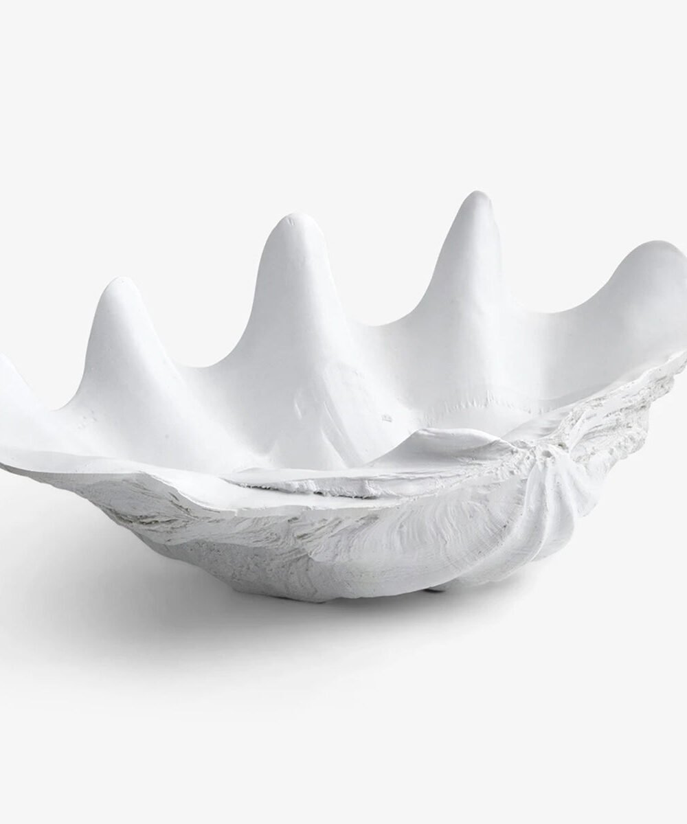 Clam Shell (White 52cm)