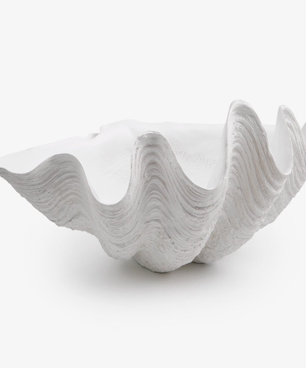 Clam Shell (White 84cm)