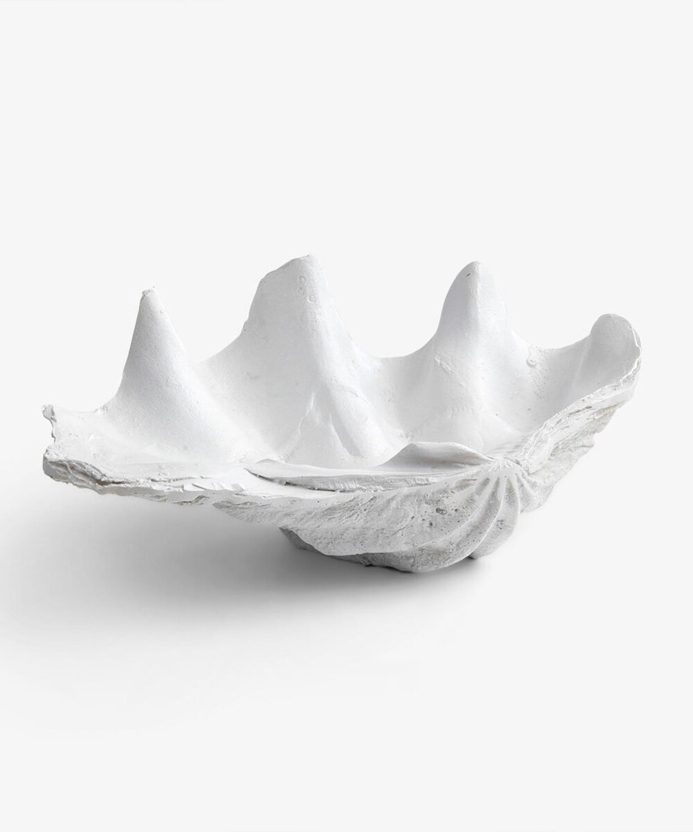 Clam Shell (White 40cm)