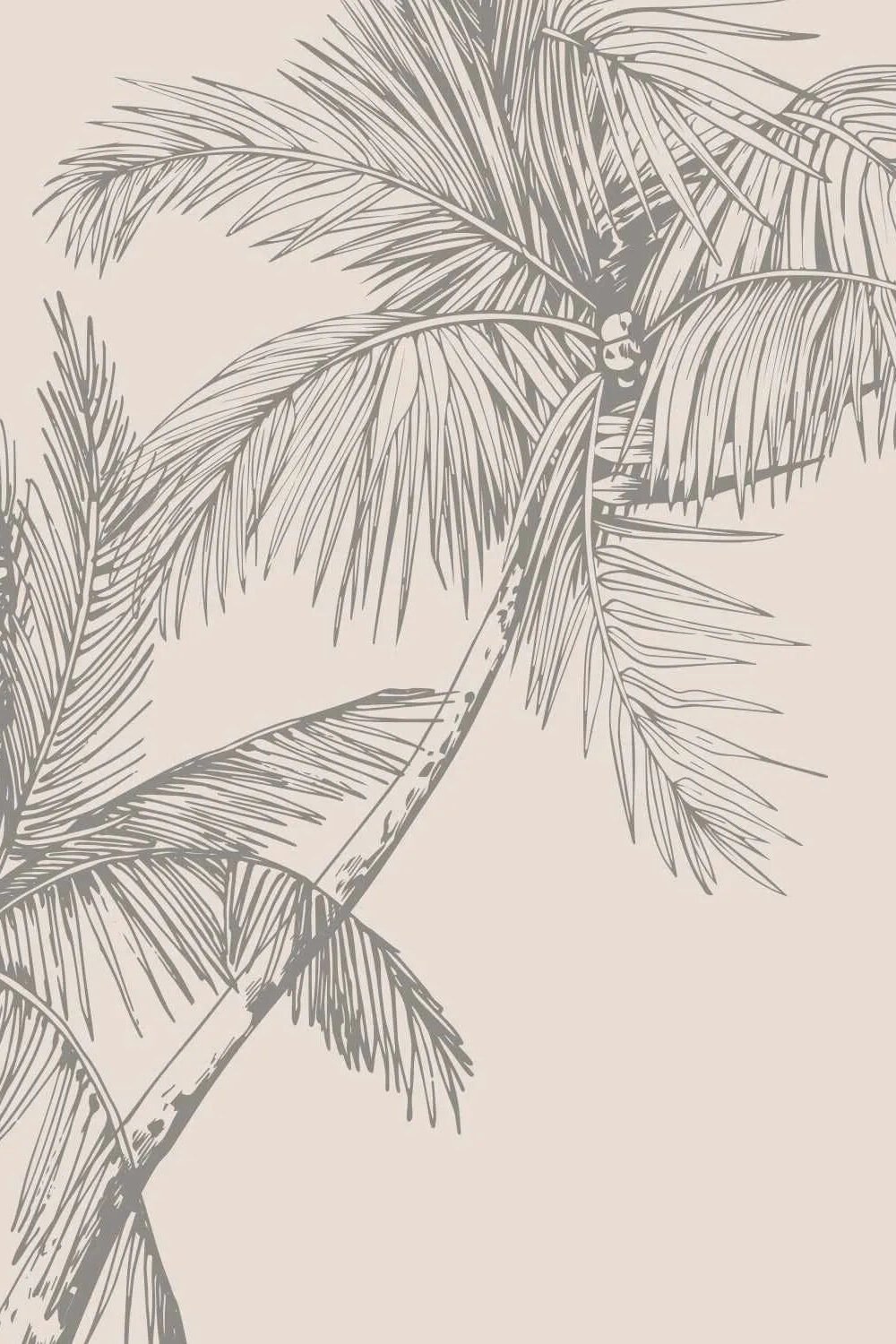 The Palms Wallpaper in Charcoal