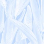Gold Coast Palm in Light Blue Wallpaper