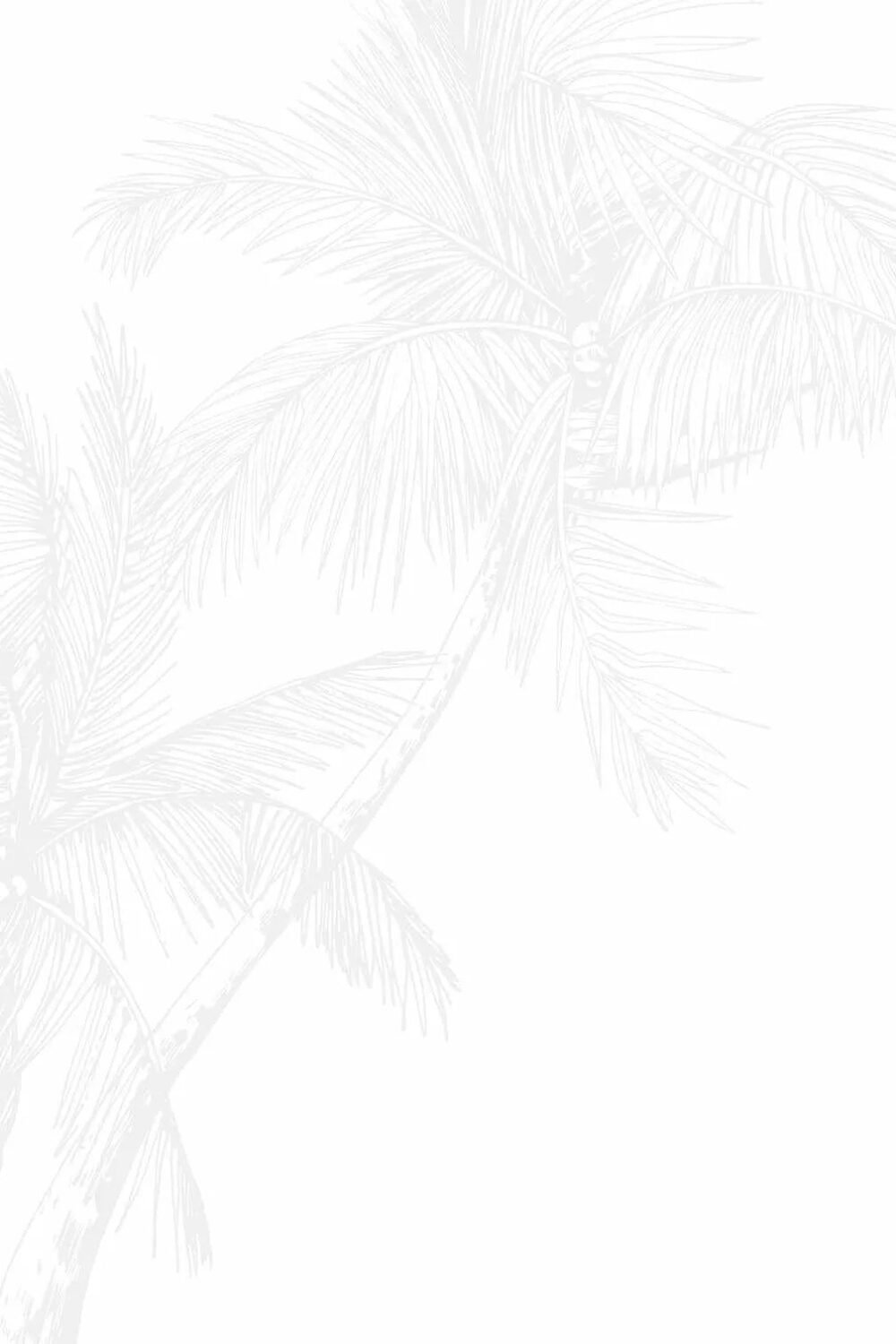 The Palms Wallpaper in Grey