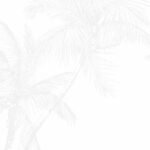 The Palms Wallpaper in Grey
